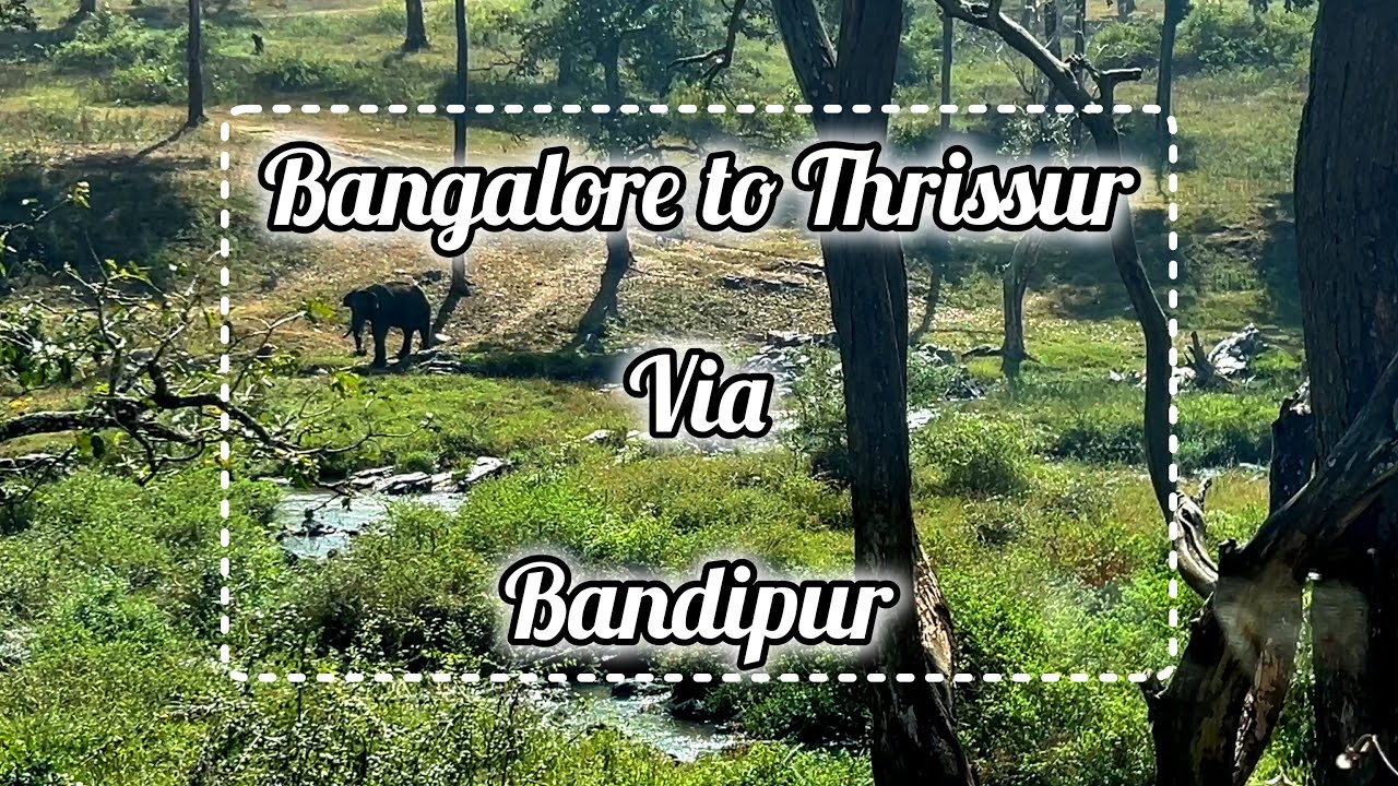 Bangalore to Kerala via Bandipur Tiger Reserve |  Road Trip to Kerala
