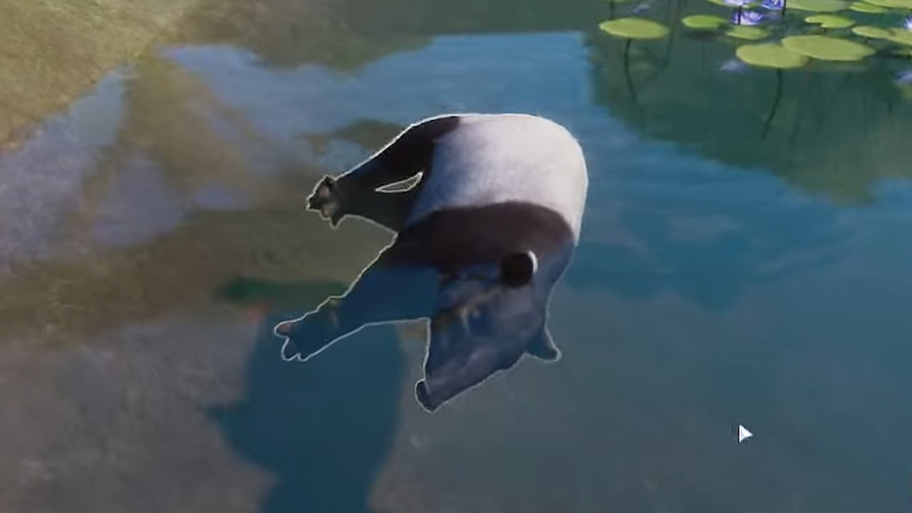 dawg what happened to my tapir