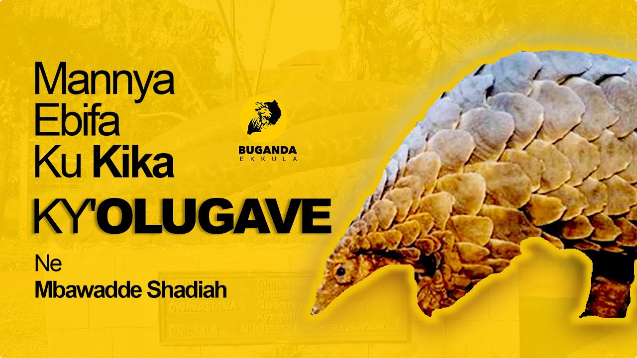 Mannya Ebifa Ku Kika Ky'Olugave Ne Mbawadde Shadiah - Buganda Ekkula