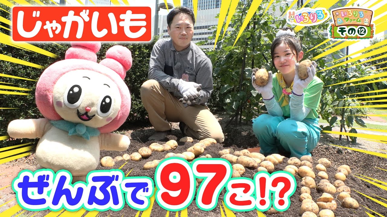 【大量収穫】「やさい嫌い」も食べられる絶品じゃがいも・ピーマン・トマト！【いろりろ公式】