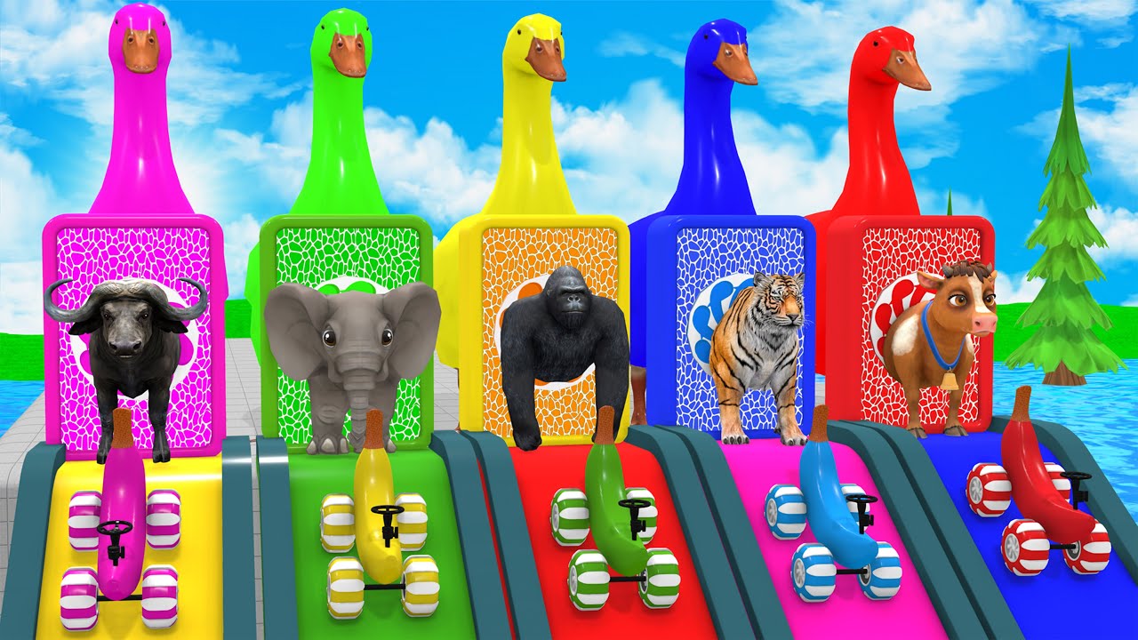 Epic Long Slide Challenge 🛝 | Cow Elephant Gorilla Hippo Tiger 3D Animation