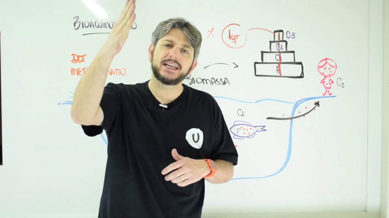 Biologia - Bioacumulação