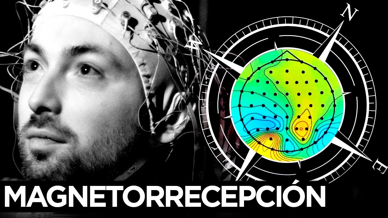 ¿Podemos SENTIR el campo magnético de la tierra?