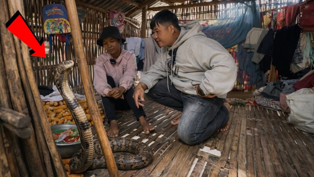 Một bó củi đổi lấy 50k – là cả bữa cơm của gia đình nơi miền núi xa.