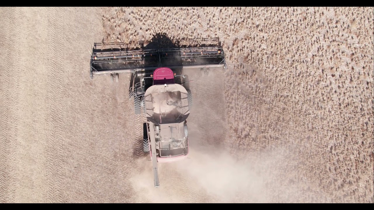 USA Pulses Harvest Video