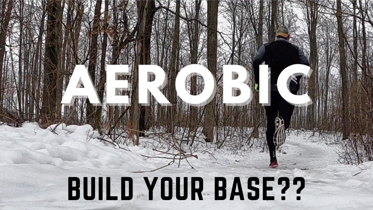 4 Reasons You Want to Build Your Aerobic Base (MAF Training)