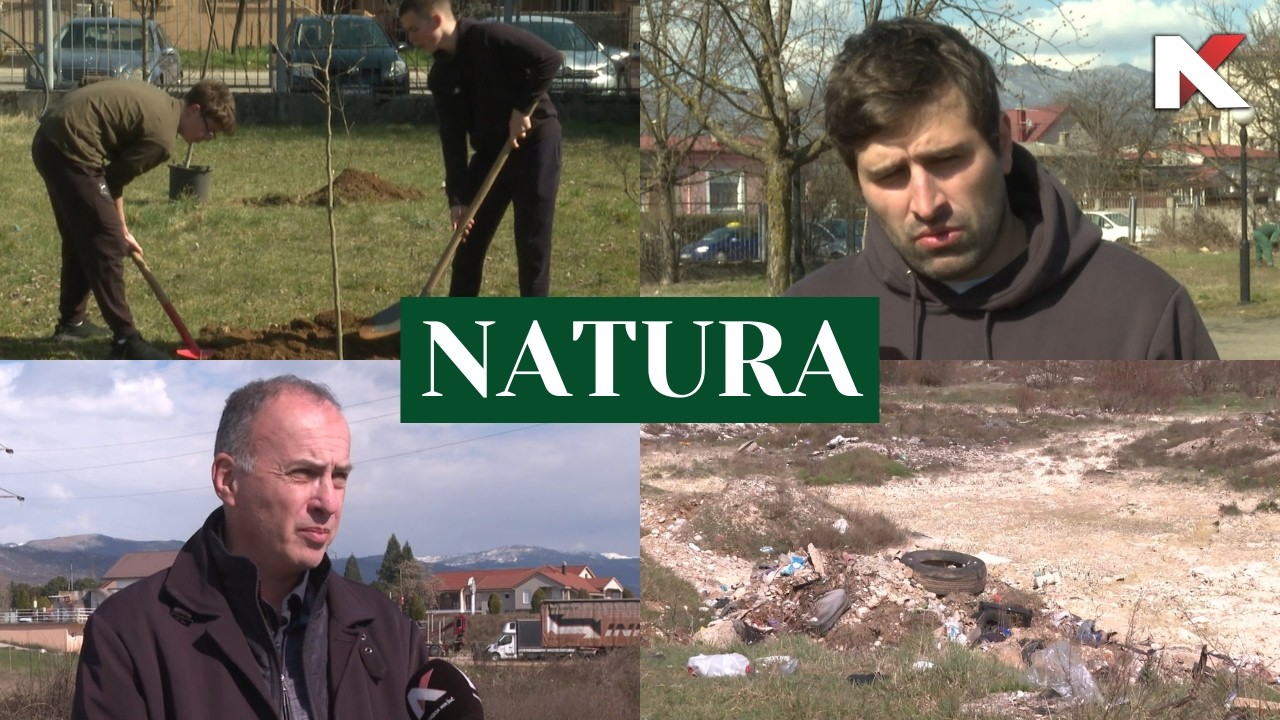 NATURA 15. 03. 2026.