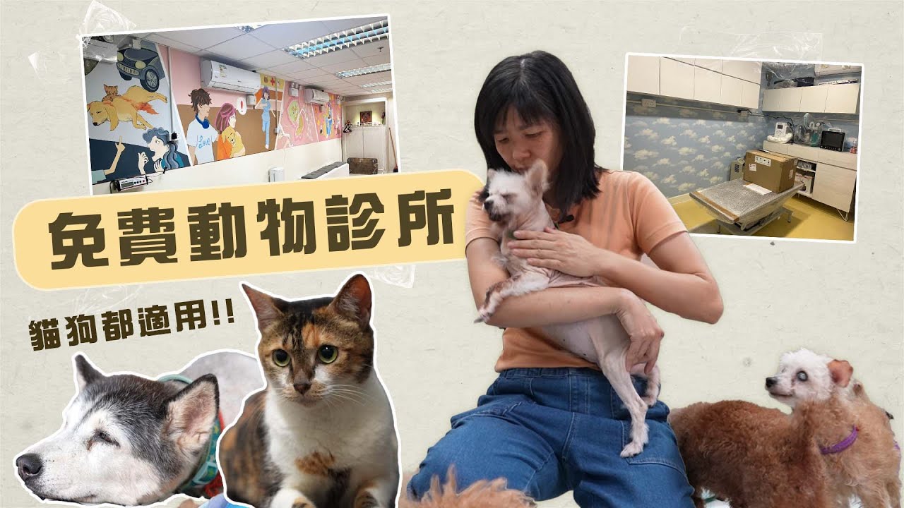 耗資二百萬｜香港首間免費獸醫診所7月開幕 即睇邊種寵物可受惠 #星島頭條 #SingTaoHeadline #寵物 #獸醫 #獸醫診所 #動物診所 #好人好事 #阿棍屋