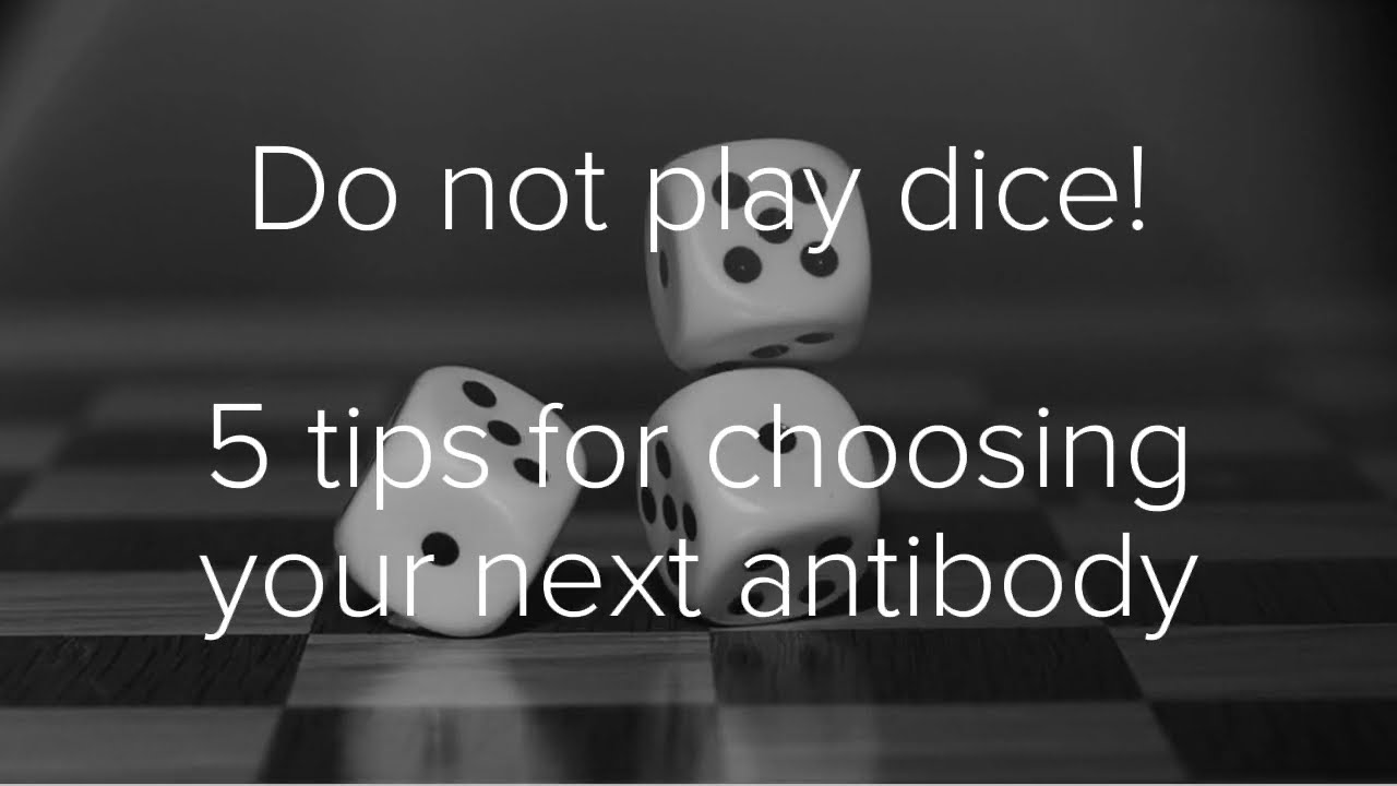 5 tips for choosing your next antibody