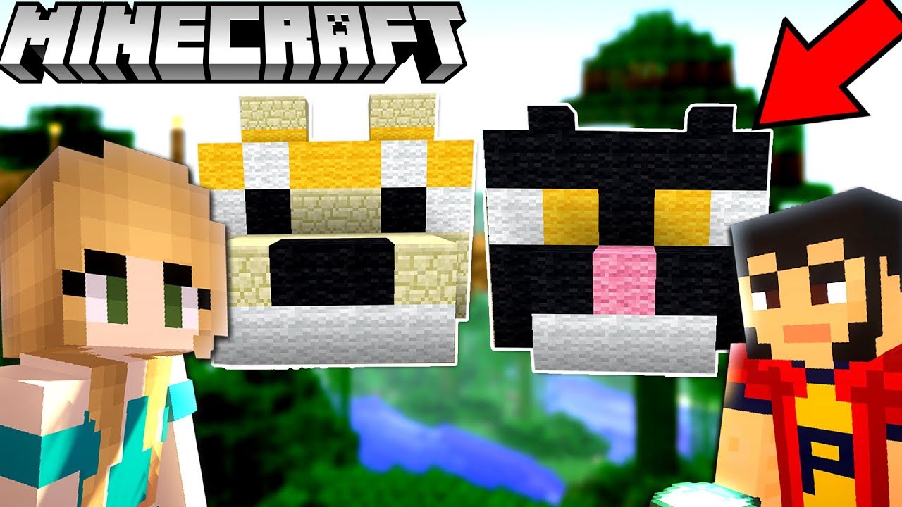 MINECRAFT | Casa PISICA si CATEL !