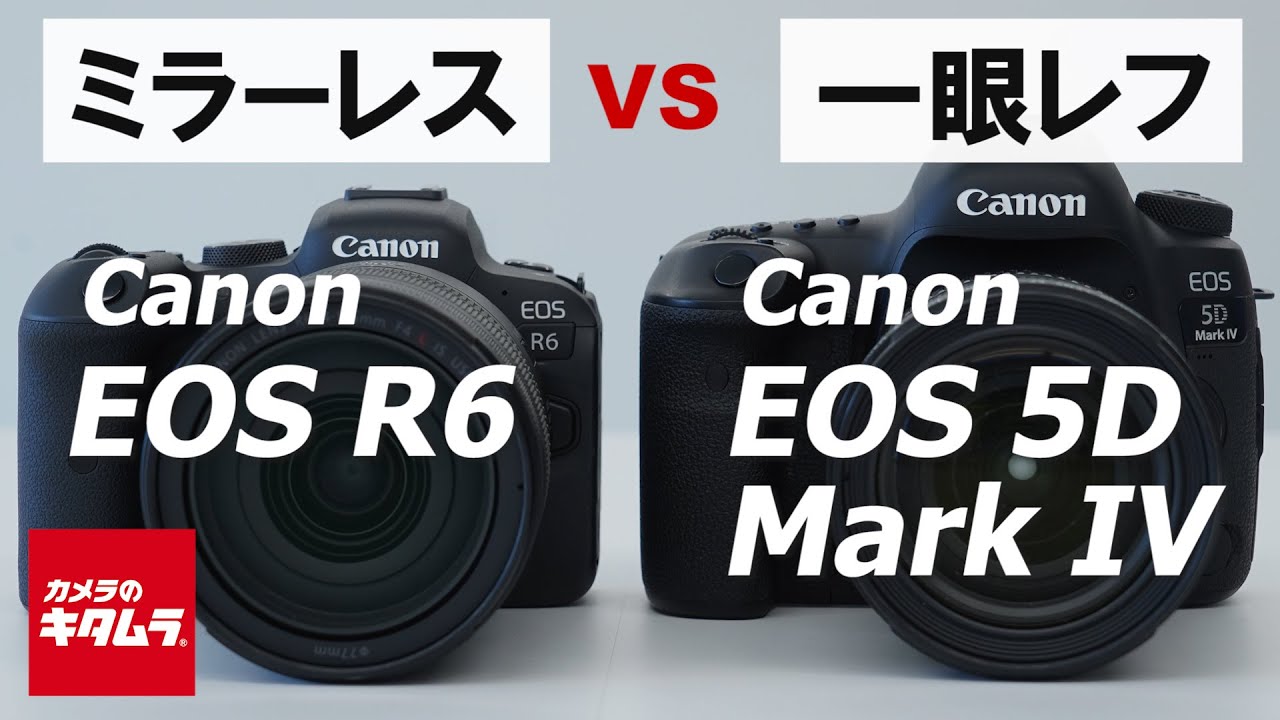 【カメラ比較】キヤノン EOS R6とEOS 5D Mark IVの違いは？ミラーレス一眼とデジタル一眼レフを比較してみました！