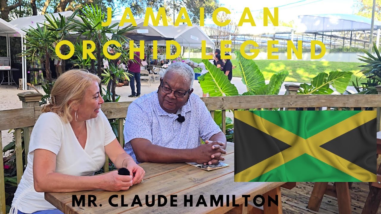 One on One with Jamaican ORCHID Legend Mr. Claude Hamilton.