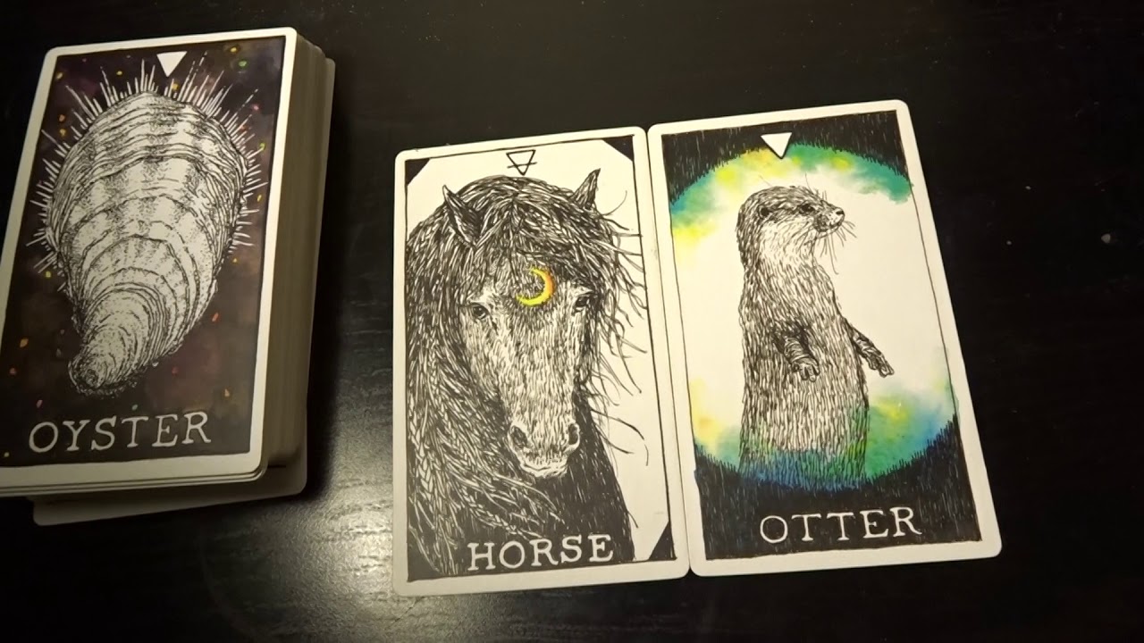 Aquarius Your Path And Obstacle Reading December 2018