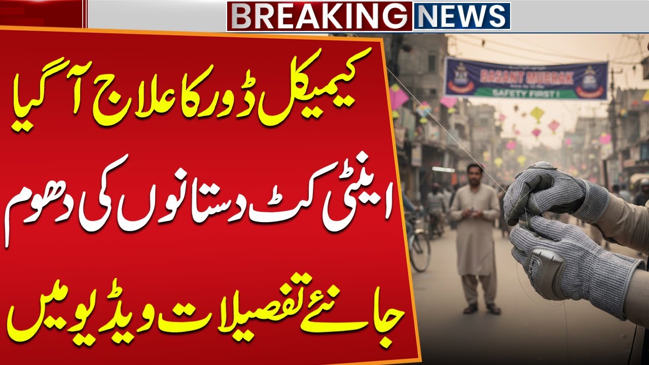 Basant 2026: Protect Your Fingers with These Anti-Cut Gloves! | Public News