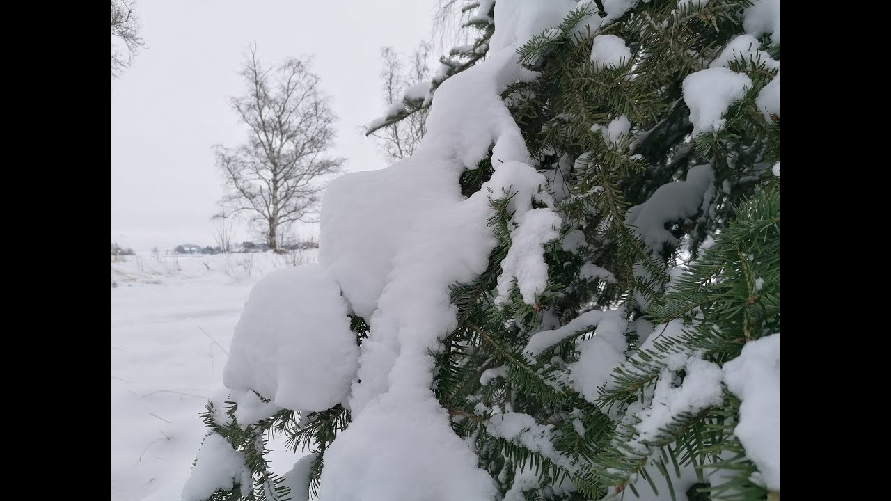 Не о вязании, но типа 