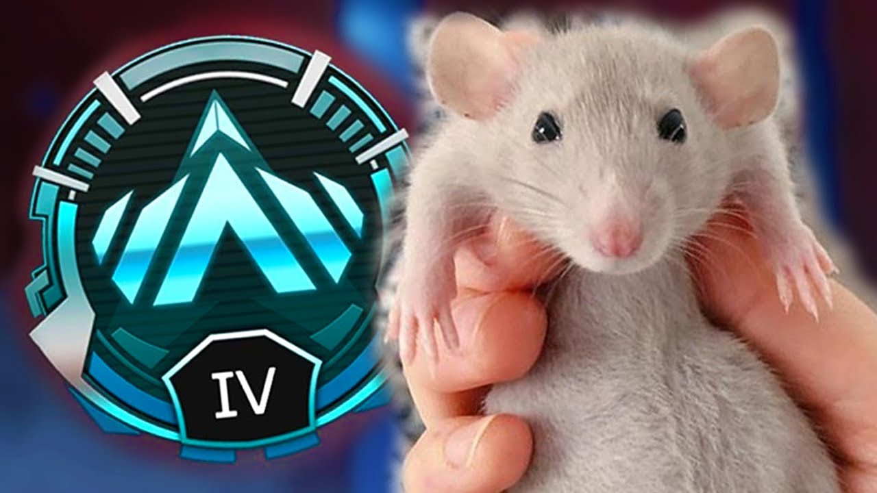 RAT 2 PLAT | Apex Legends
