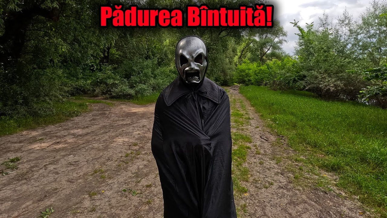 Pădurea Blestemată – Cine intră, nu mai scapă… Monstrul pândește!