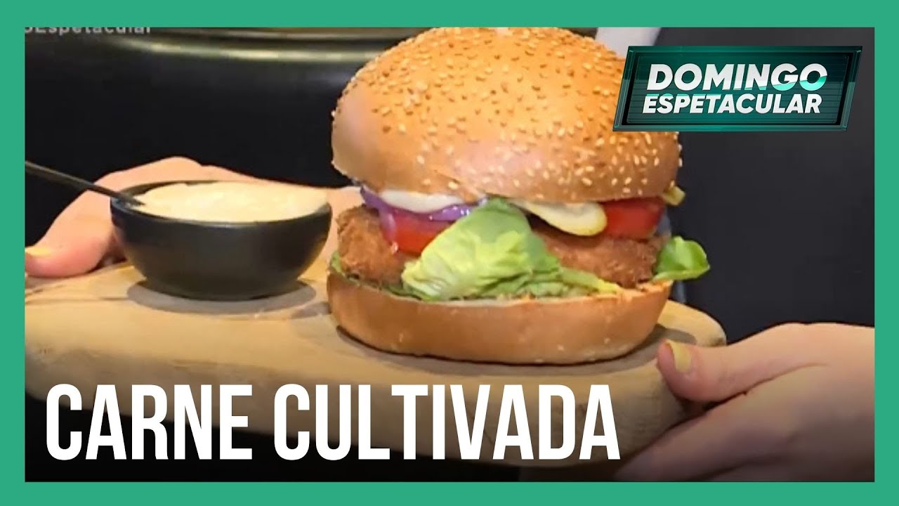 Empresa israelense desenvolve carne em laboratório
