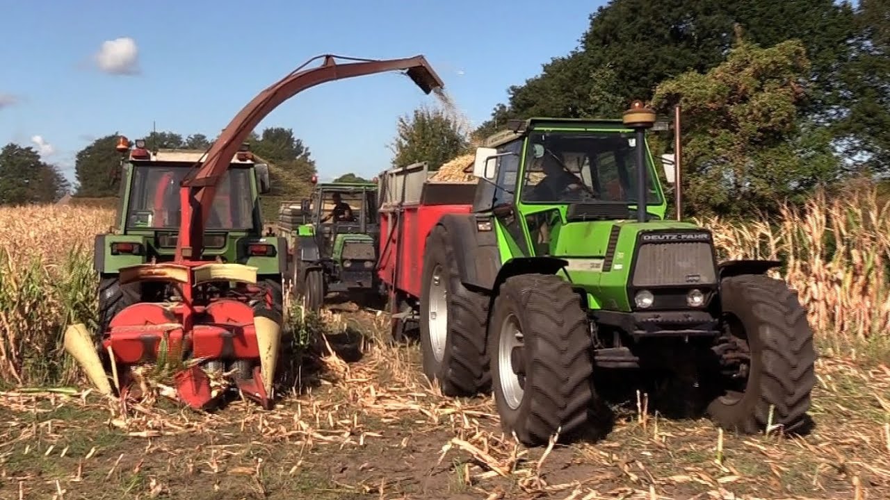 Maïs 2025 | Loonbedrijf Foxwild | Deutz Fahr | Fendt | Case IH | Mc Cormick | Pz | Corn harvest