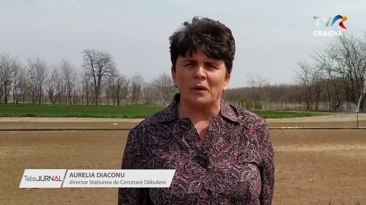 PIERSICI NU, KIWI DA