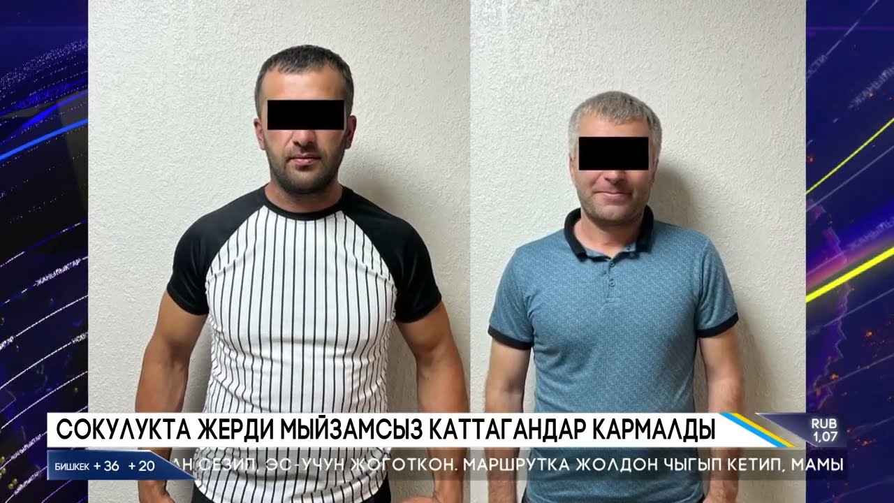 Сокулукта жерди мыйзамсыз каттагандар кармалды