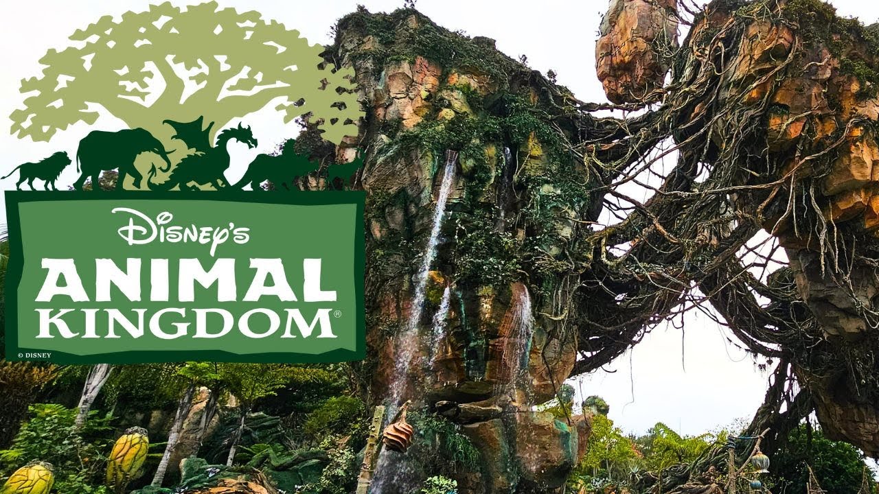 Disney Animal Kingdom | First AVATAR adventure!