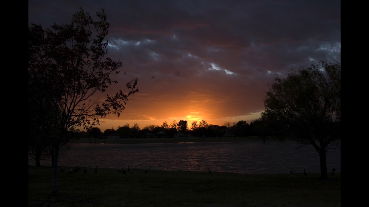 Nature Sounds Relaxation-Sound of Texas at night.