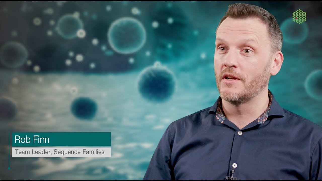 In Focus: Metagenomics analysis