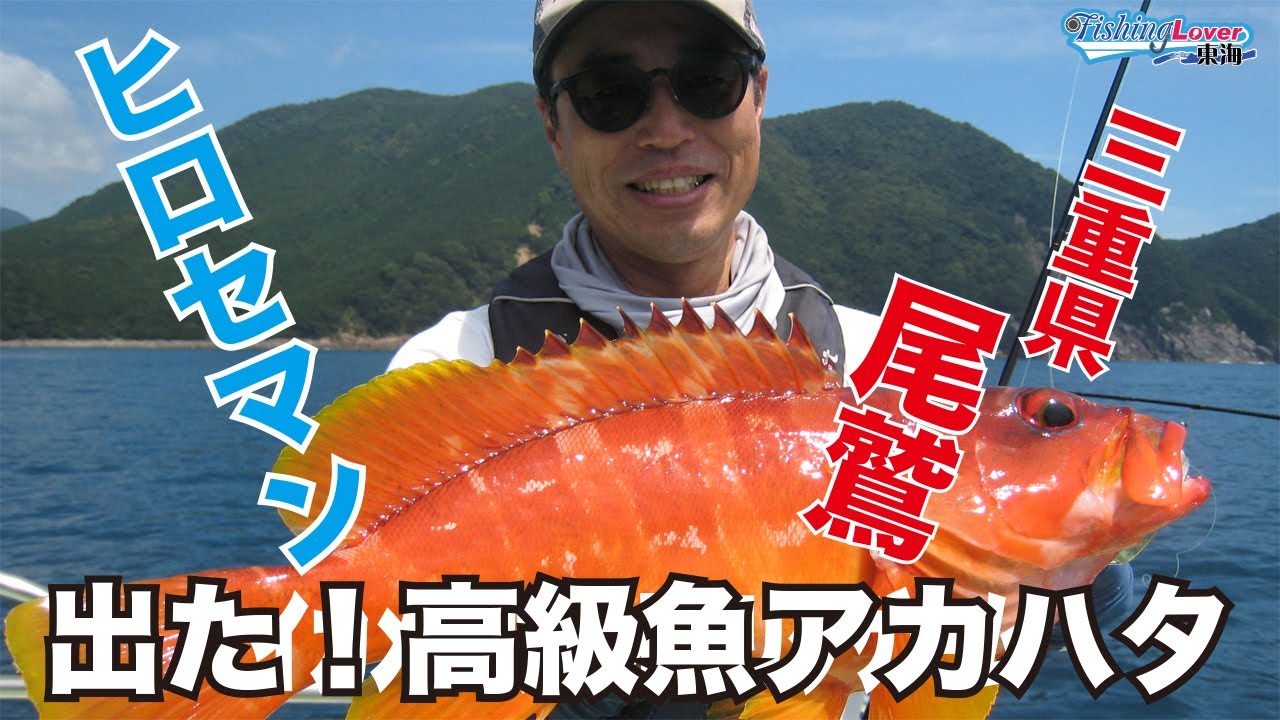 三重県引本沖　ボートハタゲームで新ワームで高級アカハタが爆釣！