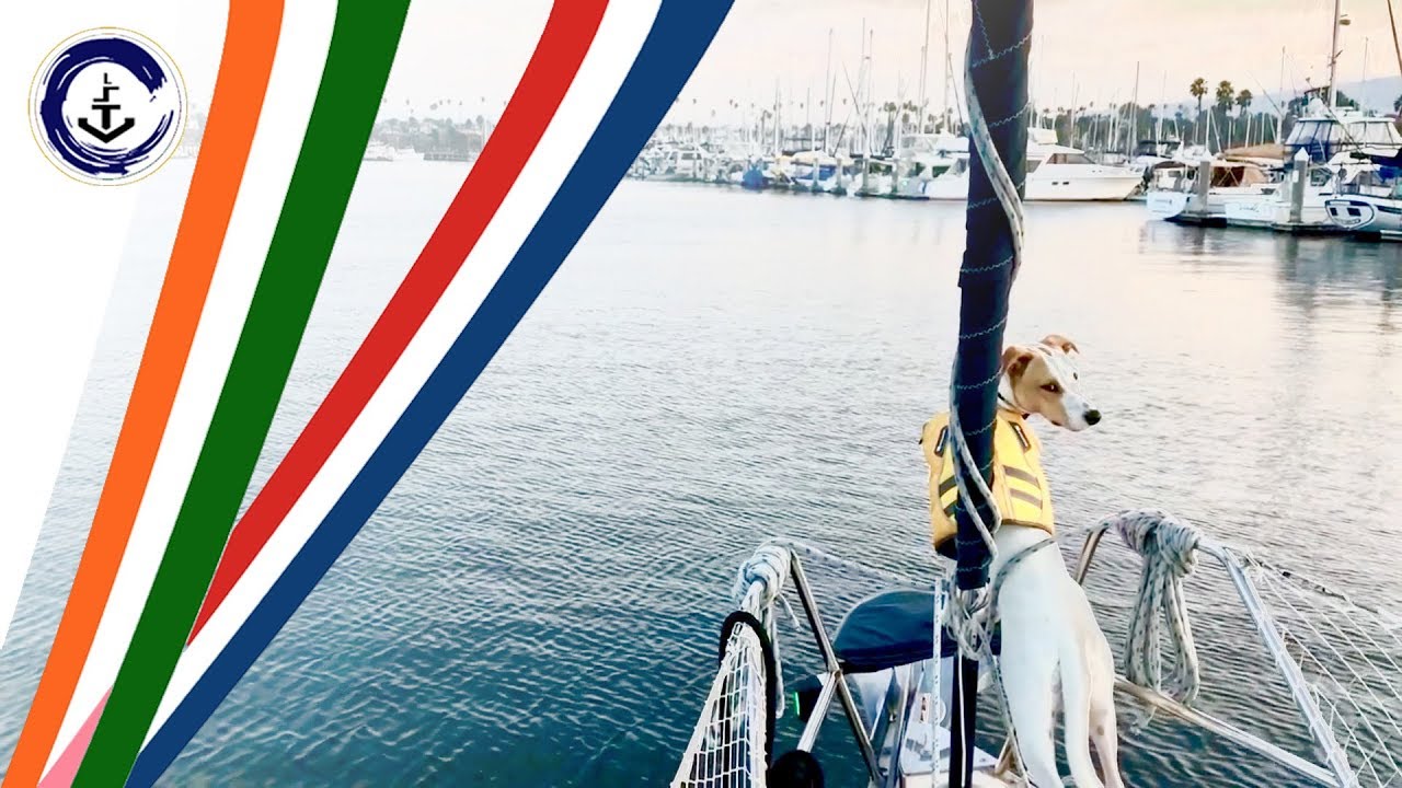 SAILING and CRUISING with PETS ABOARD