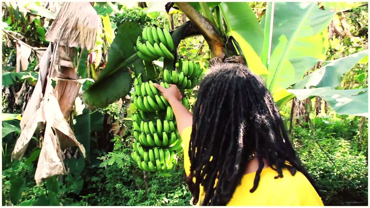 LUCH'KO ft SISTA NAYAH ☞ CHLORDECONE ♫ CLIP OFFICIEL HD ☜ JANVIER 2013 ♫ DAMONSTA ♫