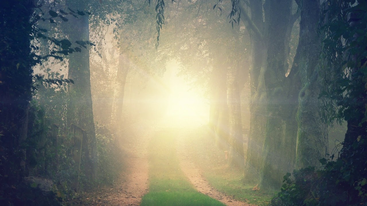 Enter the Soul Sanctuary