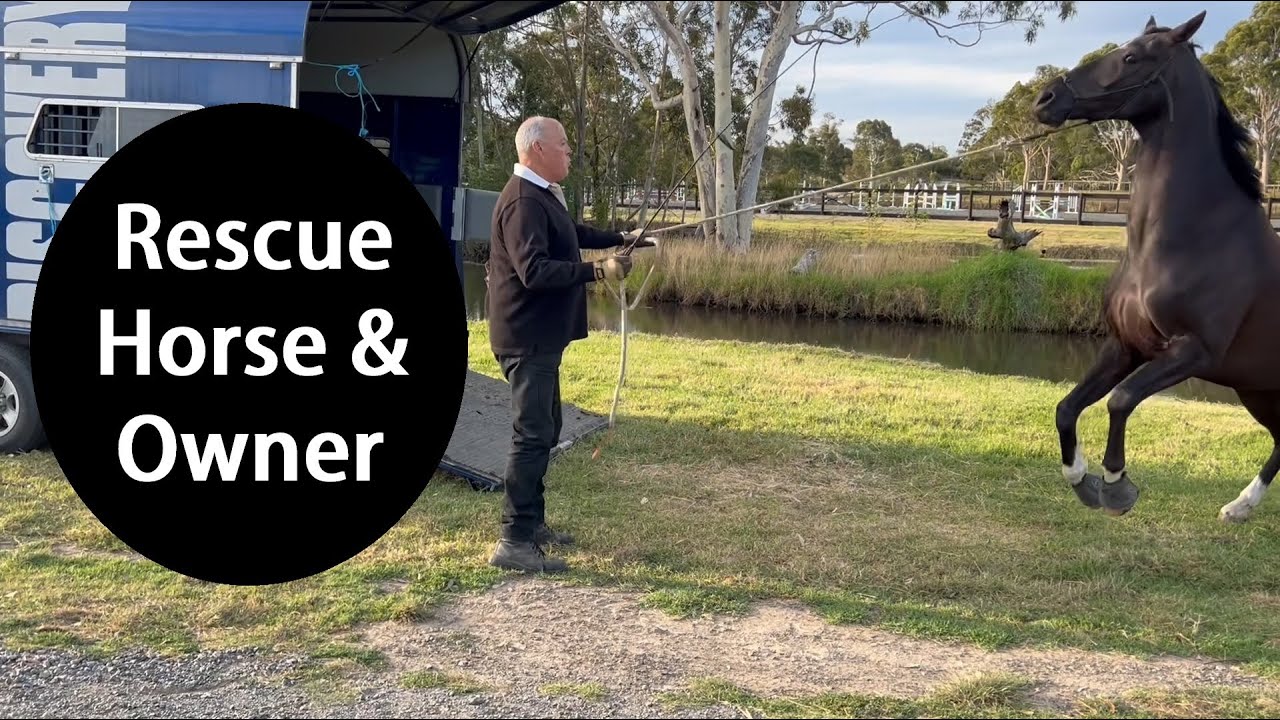Float Training Analysis - The Day It All Fell Apart: Rescuing a Horse & Owner, with the EDA Effect.