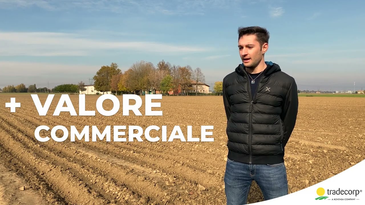 Patata di qualità - Azienda agricola Bonfiglioli (BO): come aumentare il valore commerciale.