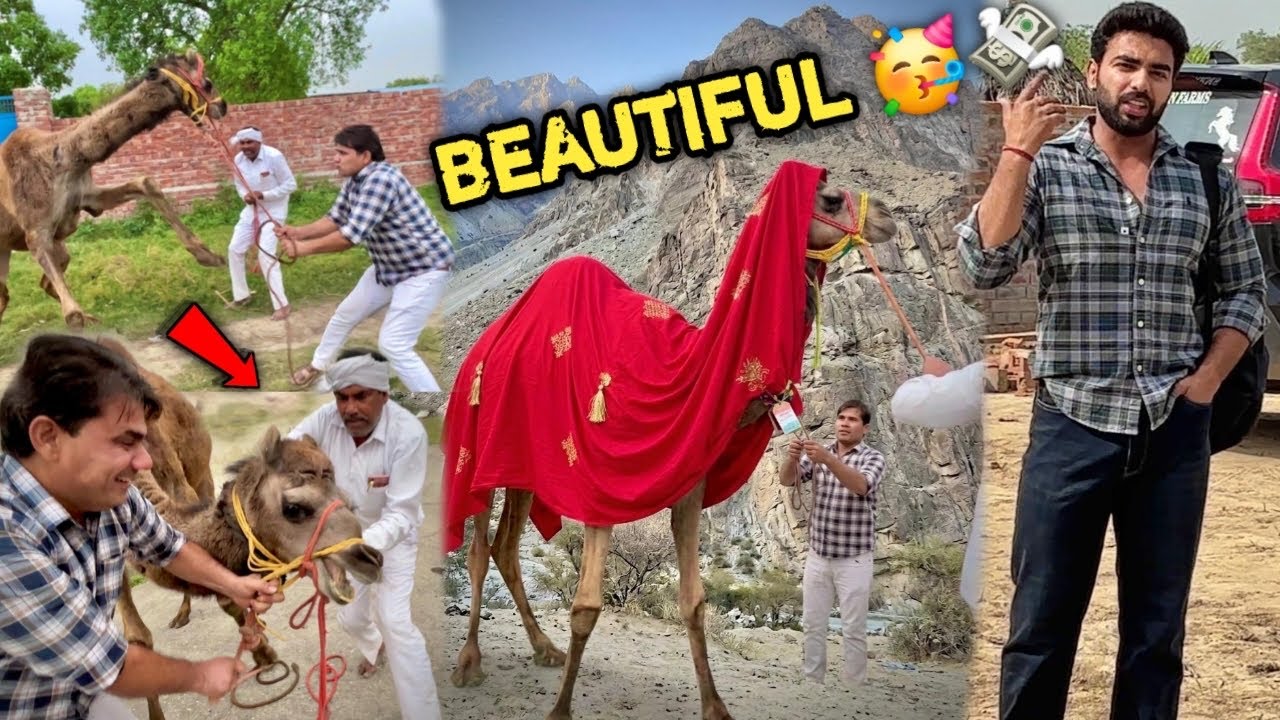 Click To Reveal Our Most Beautiful Animal Of Farm 🥳Bohot डरावना Hai🥵Kya Ye Hume खा जाएगा 😭