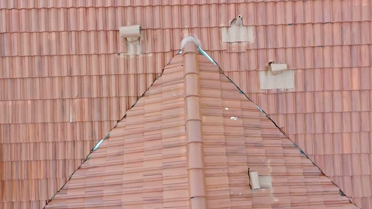 OID 1709 Roof