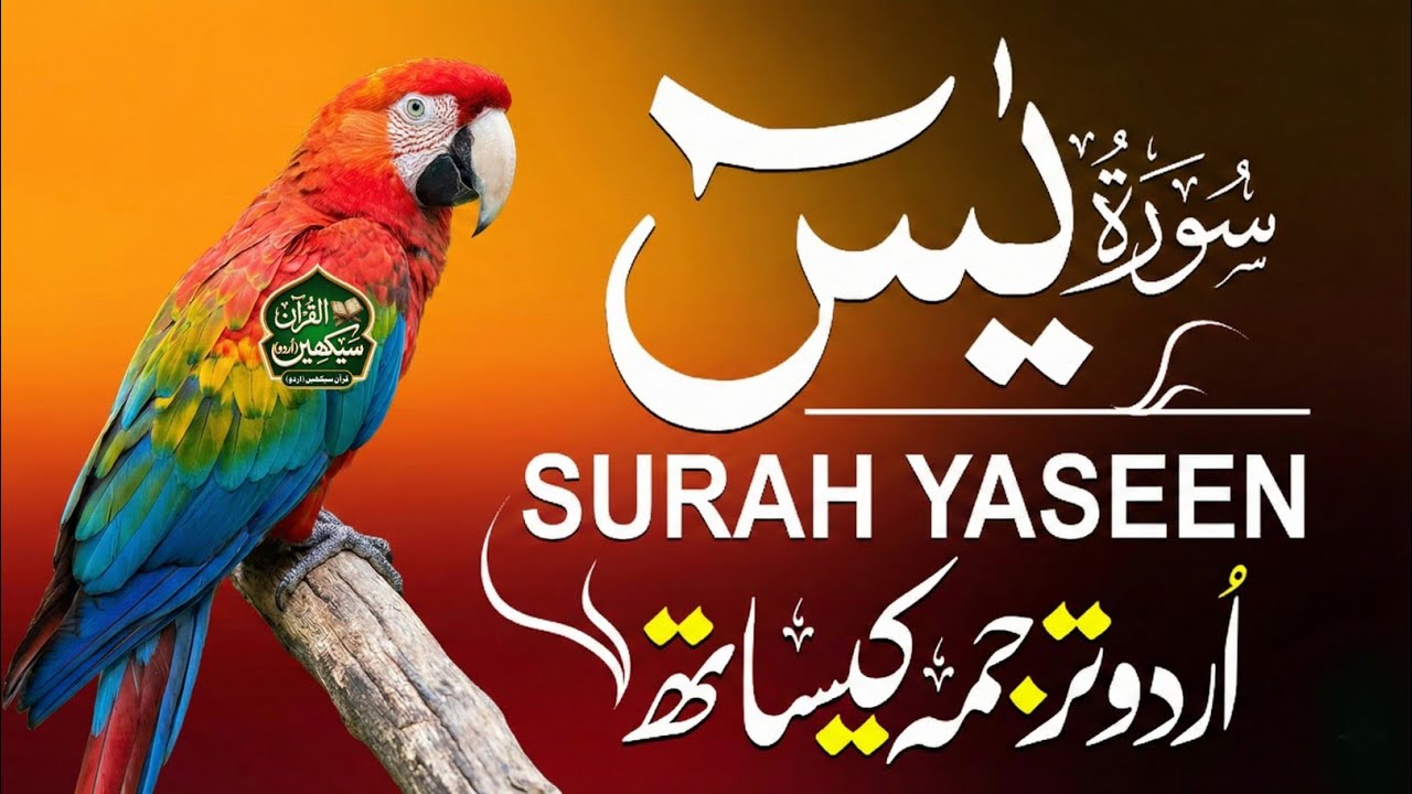 Surah Yaseen ❤️ Heart Touching Quran | Urdu Translation | for Night Protection | Most Heart Touching