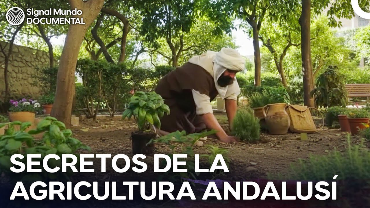 El Legado Agrícola Que Aún Riega España: Ibn Al-Awam y Sus Secretos