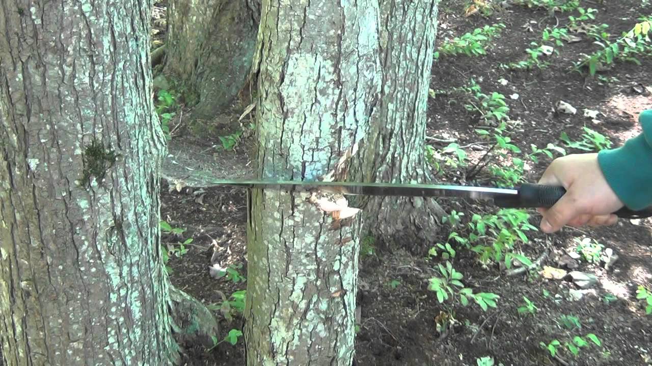 Knife Demo : Schrade Bolo Machete (Chopping?)