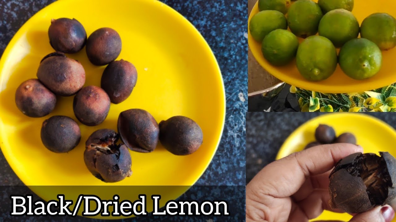 Homemade Black lemon/ Dried lemon/ A secret ingredient of Arabian Mandi Briyani😱
