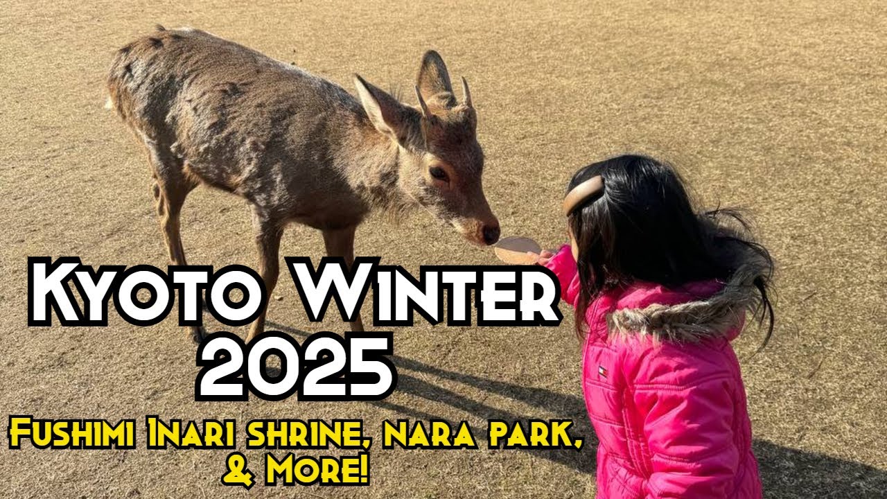 Kyoto Winter 2025: Fushimi Inari, Nara Park, & More!