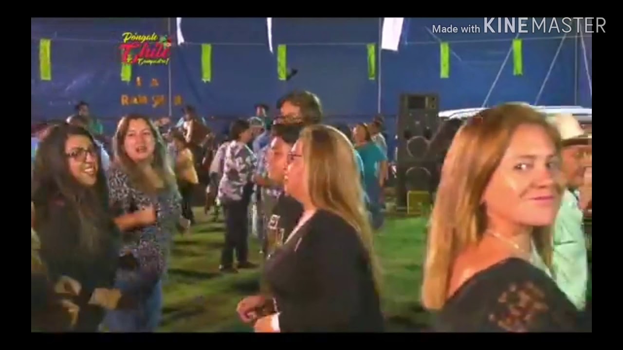 Piraña  4 en vivo