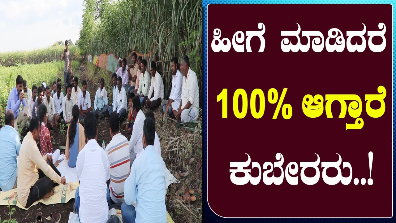 How to avoid Red rot in sugarcane? ಕಬ್ಬಿನಲ್ಲಿ ಕೆಂಪು ಕೊಳೆ ರೋಗವನ್ನು ತಡೆಯುವುದು ಹೇಗೆ ಗೊತ್ತಾ?
