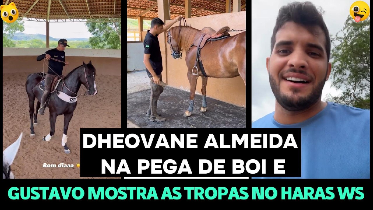 DHEOVANE ALMEIDA NA PEGA DE BOI E GUSTAVO XAVIER MOSTRA AS TROPAS NO HARAS WS