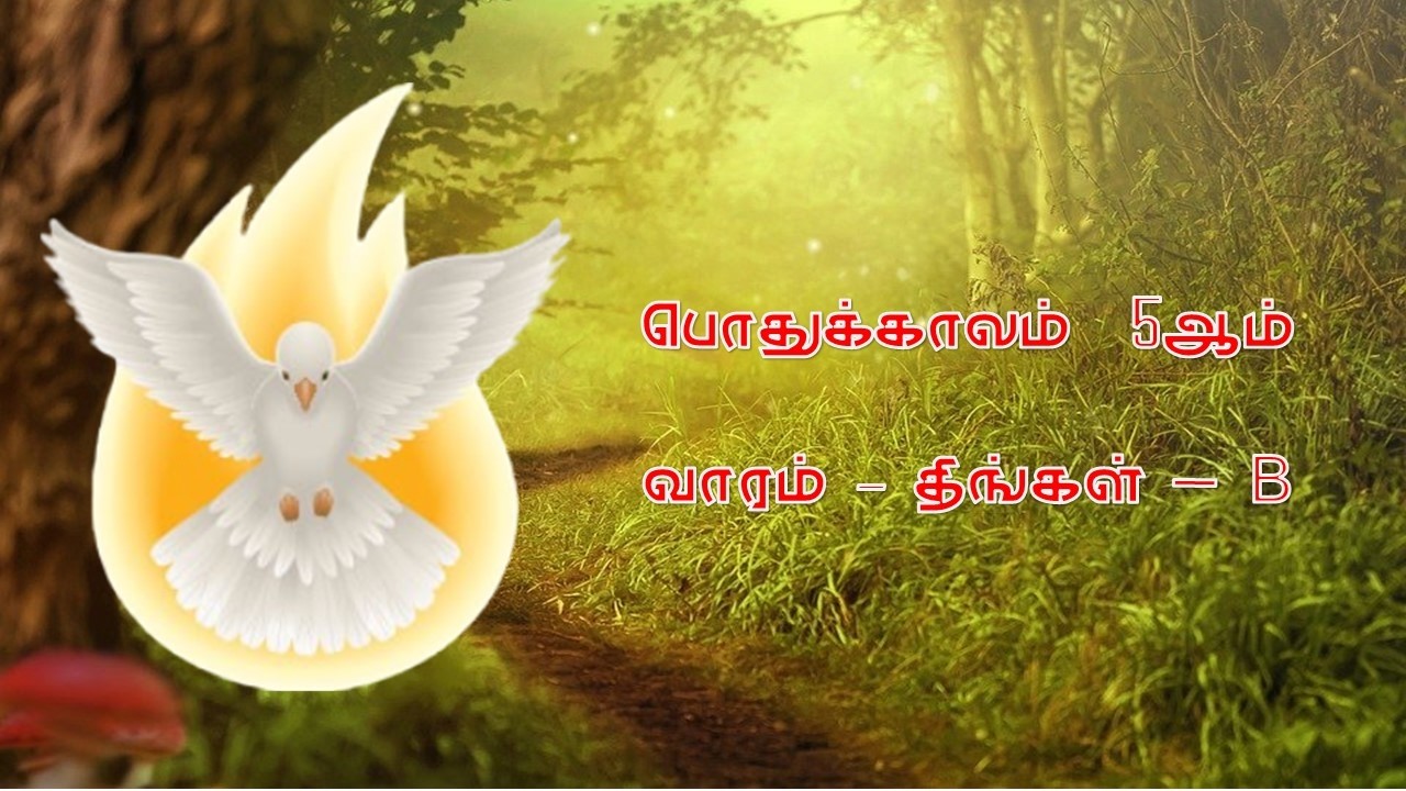 💚 திருப்பலி  (நேரலை) - பொதுக்காலம் 05ஆம் வாரம் - 09 பிப்ரவரி 2026, திங்கள்