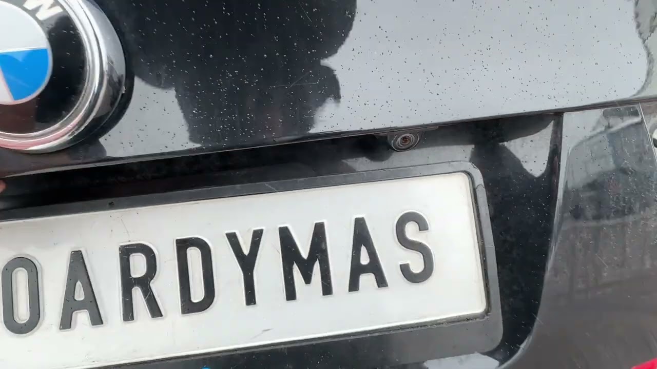 BMW X5 E70 5.0iX 2013m. 300kw DALIMIS / FOR PARTS 