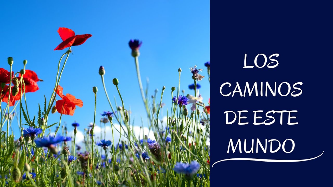 LOS CAMINOS DE ESTE MUNDO