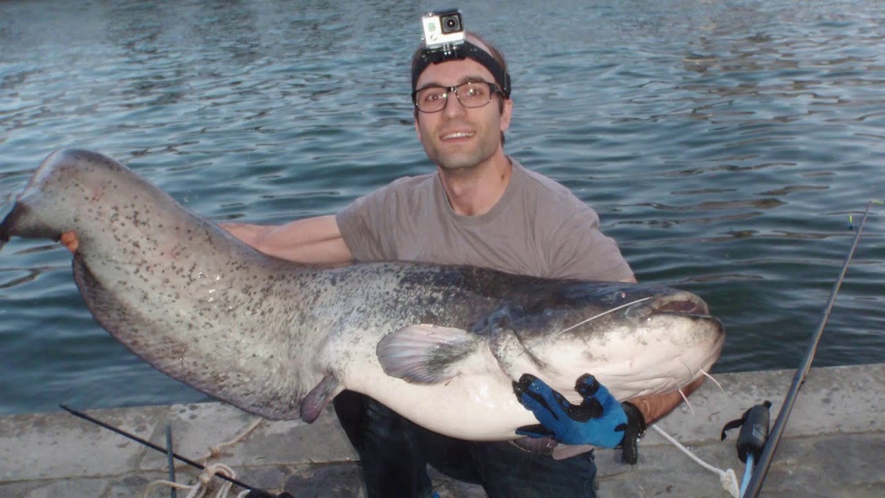 [Photofish.fr] 2015 : journal de moustaches