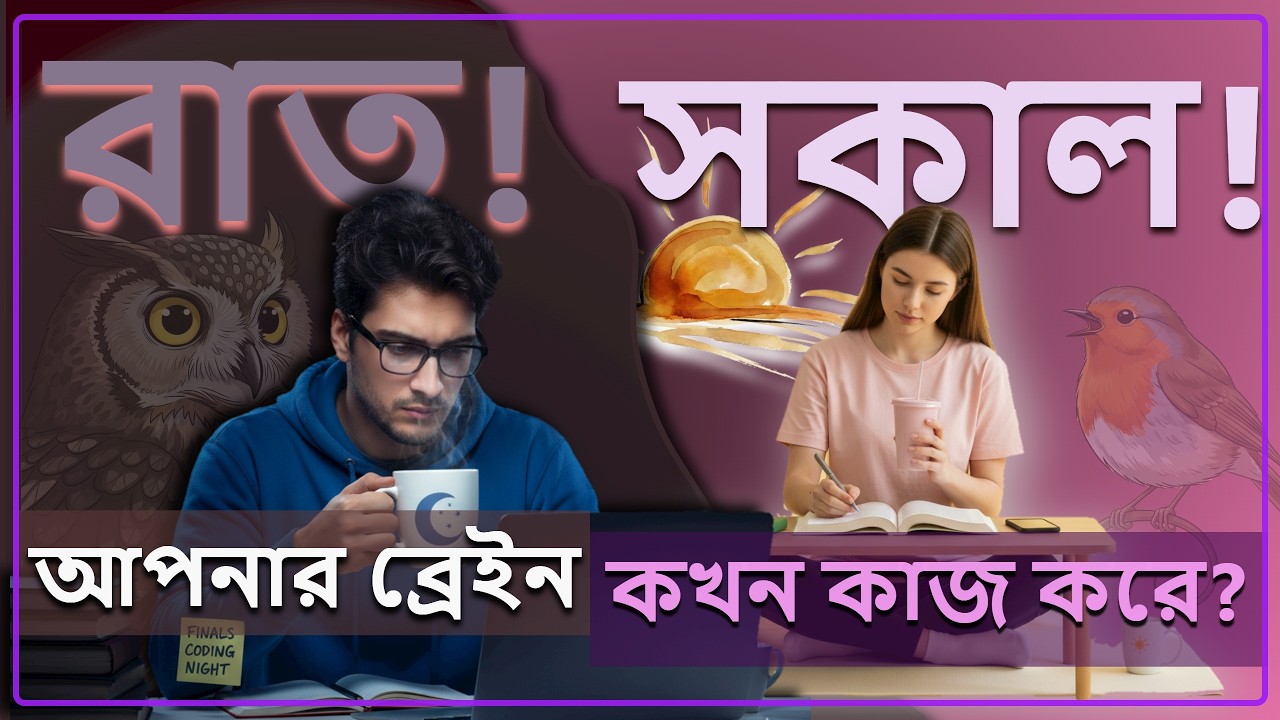 সকাল নাকি রাত? আপনার ব্রেইন কখন কাজ করে? | The Science of Chronotypes