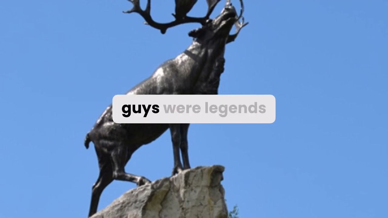 The Royal Newfoundland Regiment